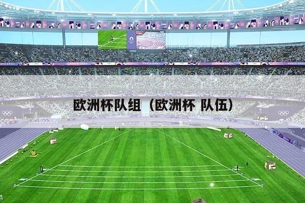 欧洲杯队组（欧洲杯 队伍）